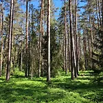 Osada Wejsuny *