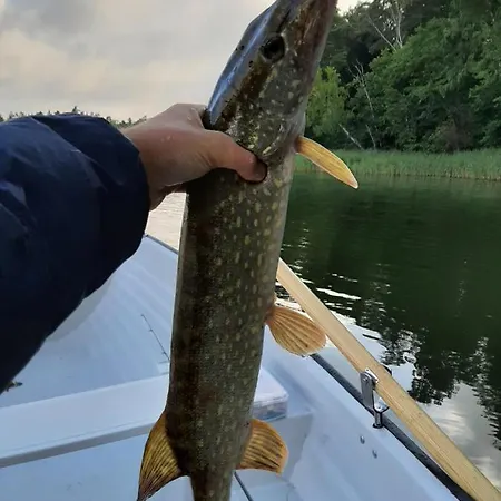 Dom wakacyjny Osada Wejsuny