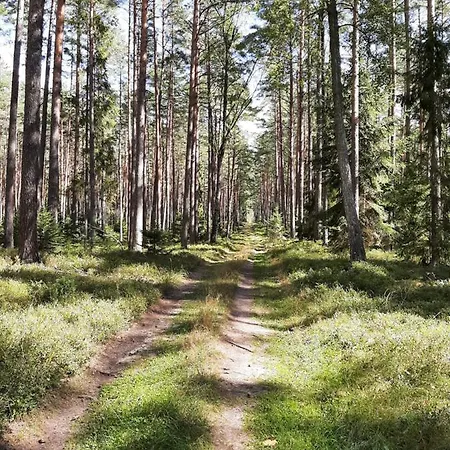 Osada Wejsuny Ruciane-Nida