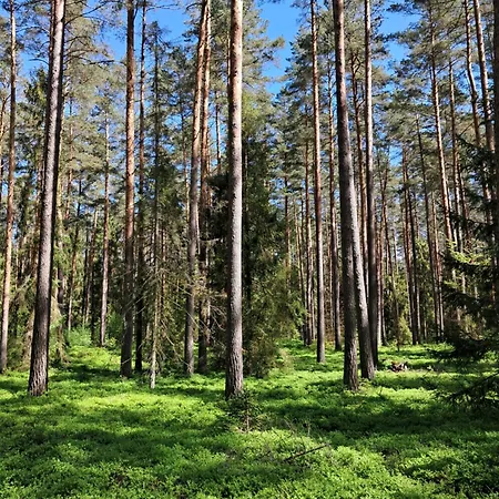 Osada Wejsuny *
