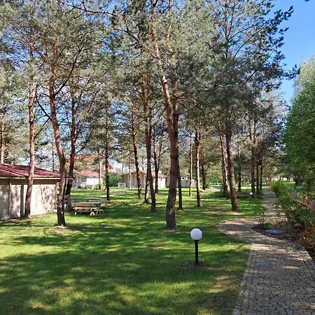 Osada Wejsuny