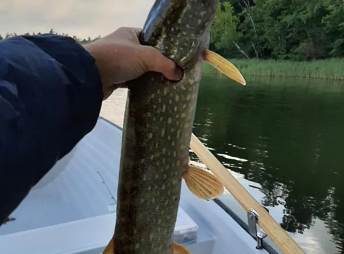 Prázdninový dům Osada Wejsuny