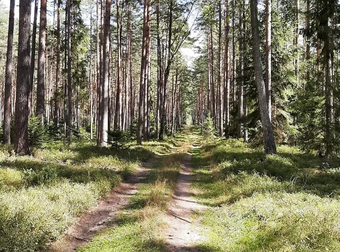 Osada Wejsuny Ruciane-Nida